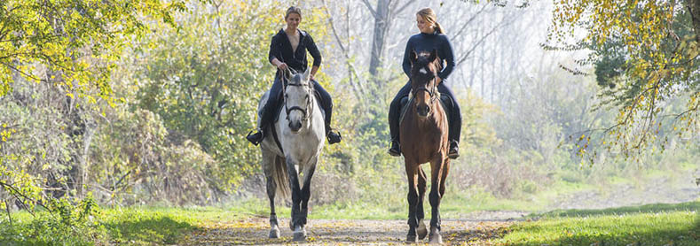 Actividades a Caballo en Albarracín Teruel